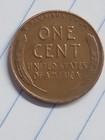 Picture 11 of 16