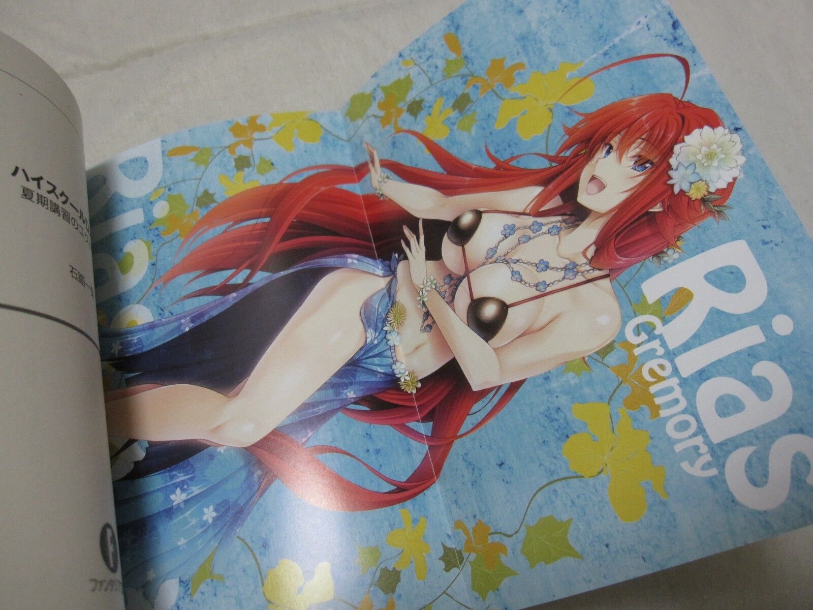 Light Novel Volume 24, High School DxD Wiki