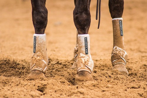 Iconoclast Equine WHITE FRONT Orthopedic Support Boots - Picture 3 of 7