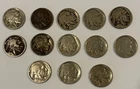 13 Partial Date  Buffalo Nickel Collection Lot 103