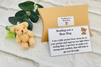 Ein kleiner Taschenbär Umarmungsgeschenk, denkt an Sie Geschenkbox, Muttertagsgeschenke