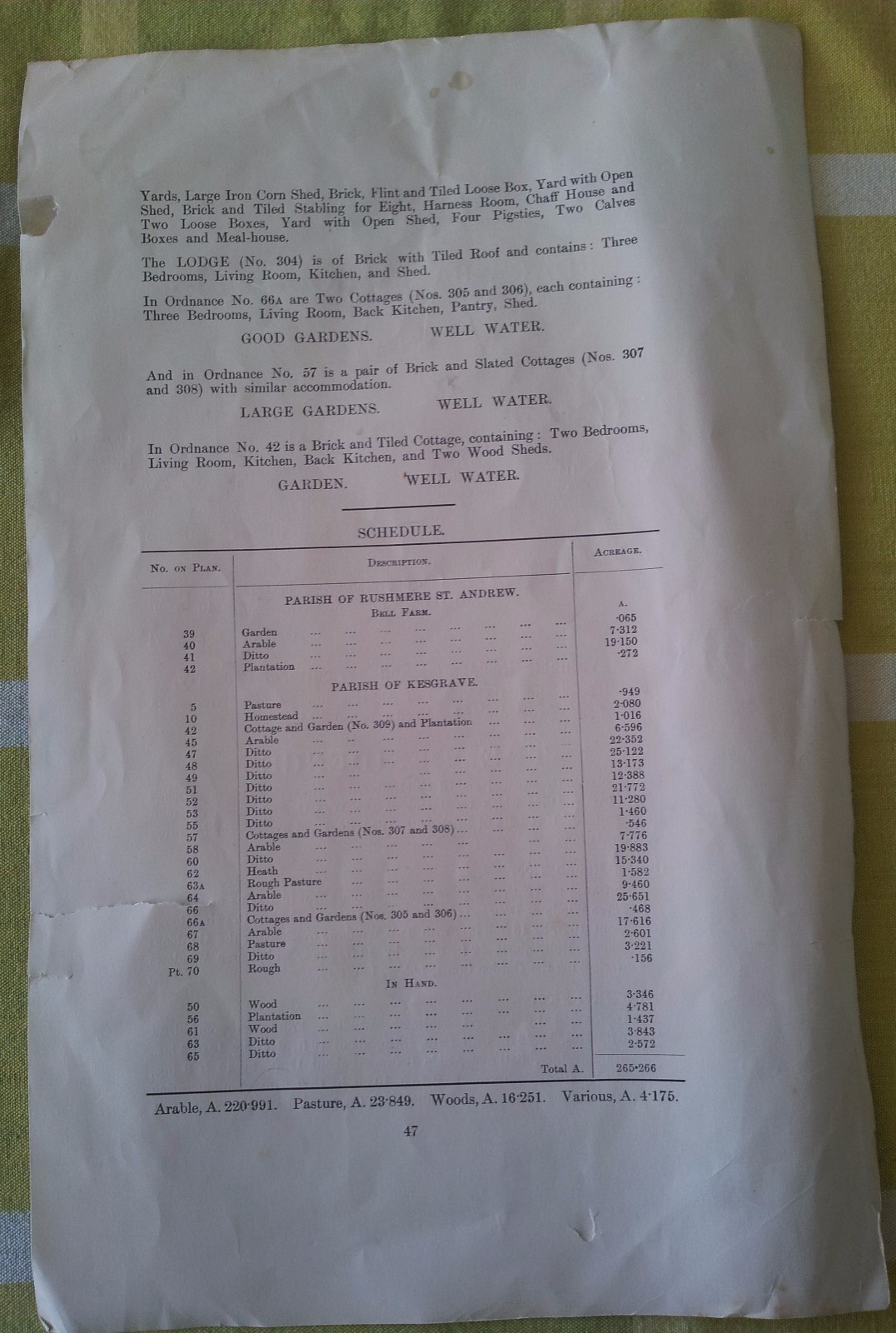 Picture 4 of 5