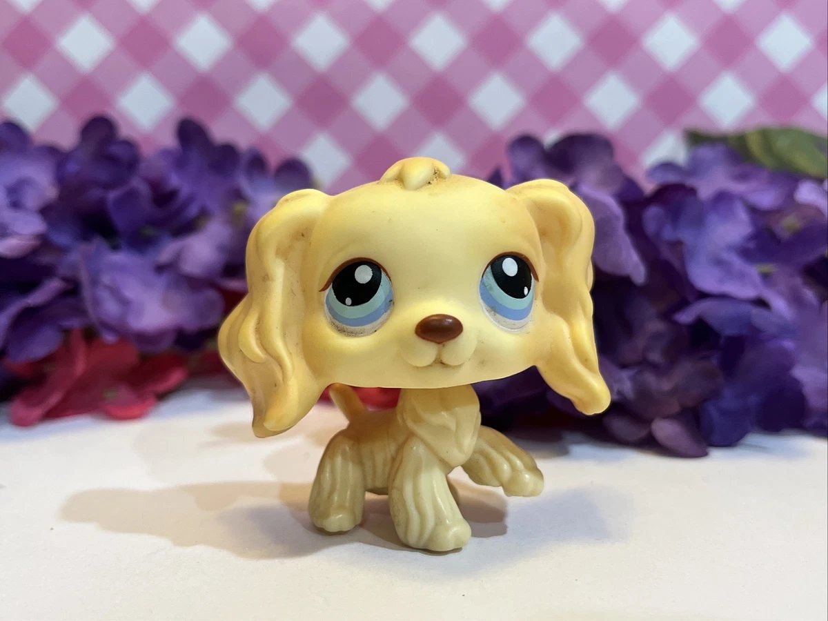 Lps blonde cocker sales spaniel