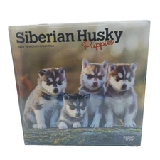 Siberian Husky Puppies | 2024 7x14" Monthly Mini Wall Calendar