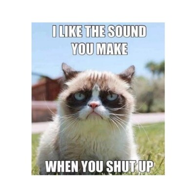 Calamita Per Frigorifero A Forma Di Gatto, Divertente Magnete Da - Foto 5