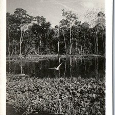 c1940s Manaus, Brazil RPPC Rio Negro Amazon Duck Hunting Hotel Amazonas A361
