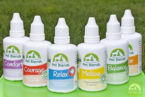 Natural Pet Remedy SEPARATION ANXIETY PINING KENNEL STRESS Dog Cat Horse Comfort - Picture 7 of 8