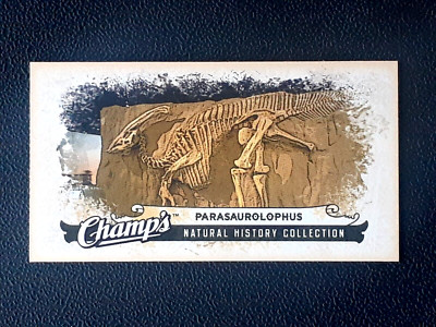 PARASAUROLOPHUS 2008-09 UPPER DECK CHAMP'S MINI 08-09 NO C423      55642