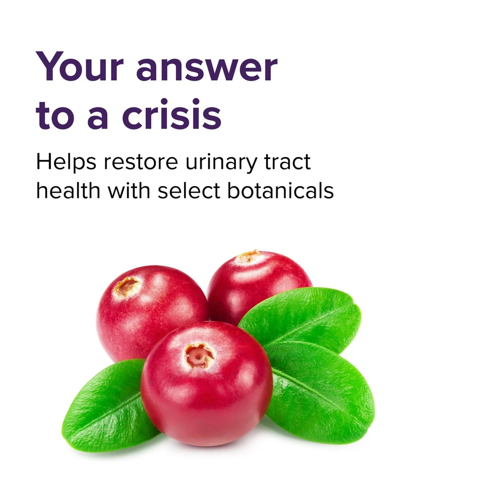 U.T. Polvo Vibrance, intervención de crisis para la salud del tracto urinario, 10 porciones Foto 4 de 4