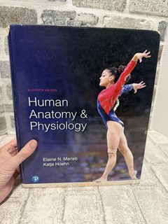 Human Anatomy & Physiology 11th Edition Textbook By Marieb And Hoehn