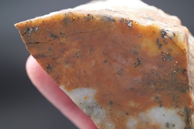 Gold and Telluride Ore Specimen from Jason s Gold Mine (25-0030)