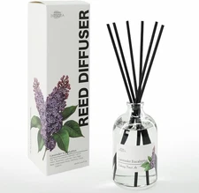 Reed Diffuser Set, Aroma Scented Diffuser with Sticks Home Fragrance Reed Diffus
