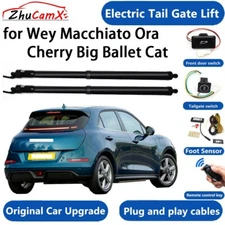 Electric Tail Gate Lift Door System for Wey Macchiato Ora Cherry Big Ballet Cat