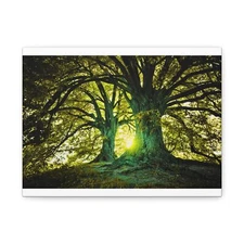 Greens and Browns Nature Matte Canvas, Stretched, 1.25"