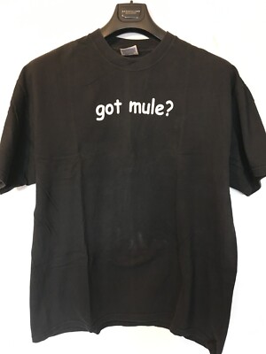 Rare Gov't Mule GOT MULE? Shirt 2002 XL Warren Haynes Jam Band Blues Rock ABB