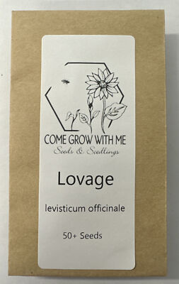 Lovage levisticum officinale, hierba culinaria y medicinal 2023 Lovage levisticum officinale, hierba culinaria y medicinal 2023