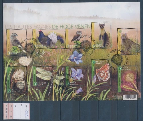 XE63158 Belgium 2017 FDC cancel fauna flora nature XXL sheet used