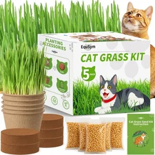 5Pack Cat Grass Seeds Kit - Cat Grass Seeds Growing Set for Indoor Cats, Non ...