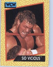 1991 Impel WCW #29 Sid Vicious