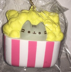 pusheen cat popcorn