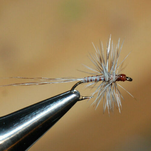 12 Mosquito/Midge Variant Dry Fly Litewire Barbed on Eagle Claw L052M-18  Size 18