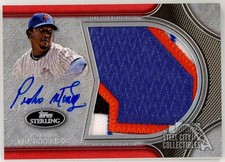 Pedro Martinez 2020 Topps Sterling Splendor Red Jumbo Patch Autograph Card 1/3