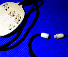 Carved Bovine Bone Floral Pendant with Threaded connector Early 20th Century — photo 6