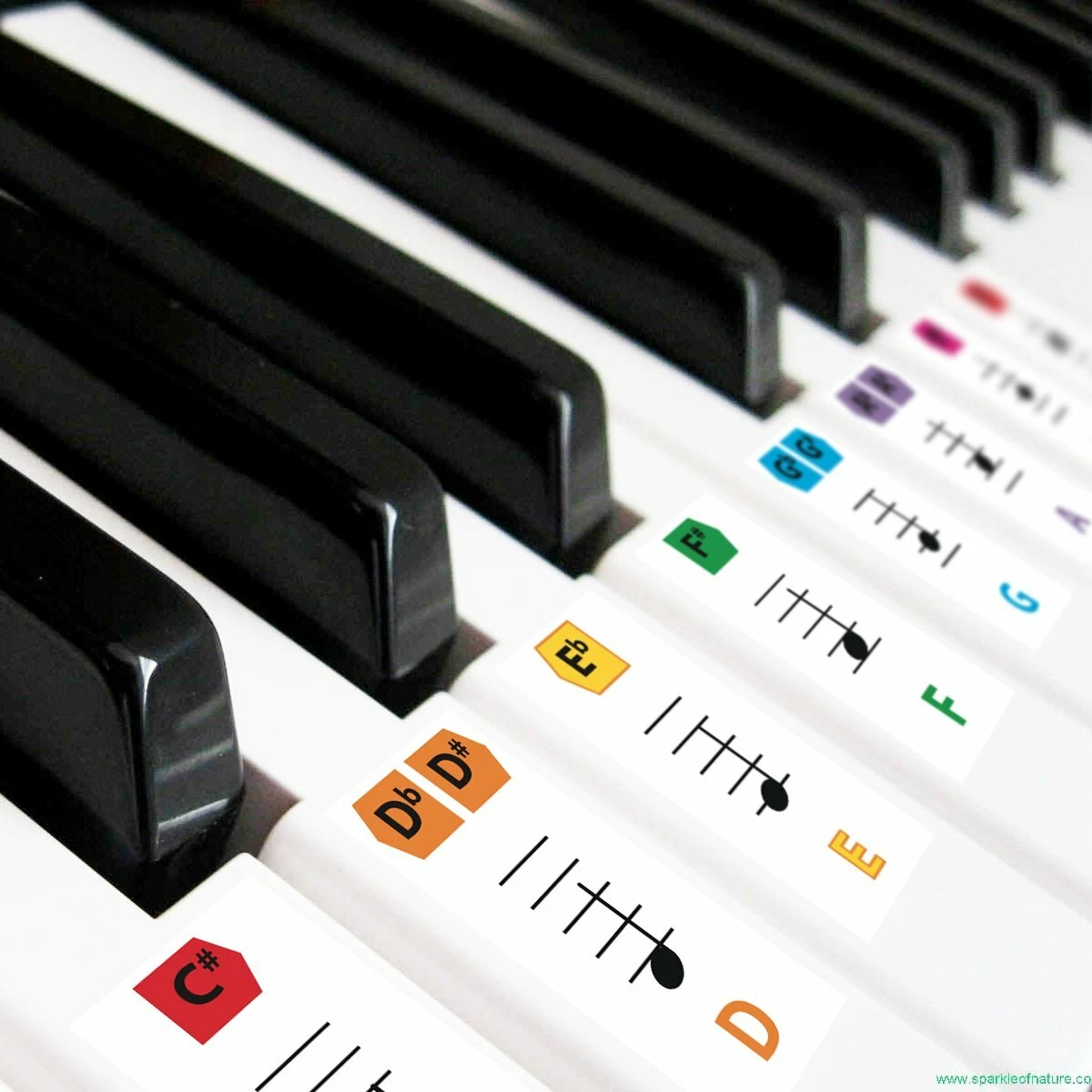 Best Reusable Large Color Piano Key Note Keyboard Stickers for