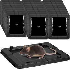 24 Pack Large Baited Glue Traps Sticky Mouse Trap Rat Traps Indoor Rodent Killer