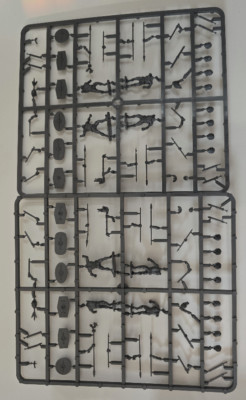 Victrix   Gallic Naked Fanatics   8 figures   Skyclad   Gauls   SAGA