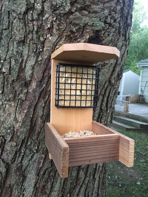 Kaytee Cedar Seed Suet Wild Bird Feeder For Sale Online Ebay