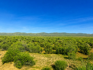 RARE CORNER LOT! 1.03 ACRE ELKO NEVADA MEADOW VALLEY RANCHOS! CASH NO RESERVE!