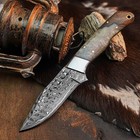 8.0" inch Handmade Damascus Hunting Knife Full Tang Wood Handle Leather Sheath — photo 2