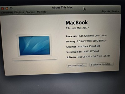 Apple 13