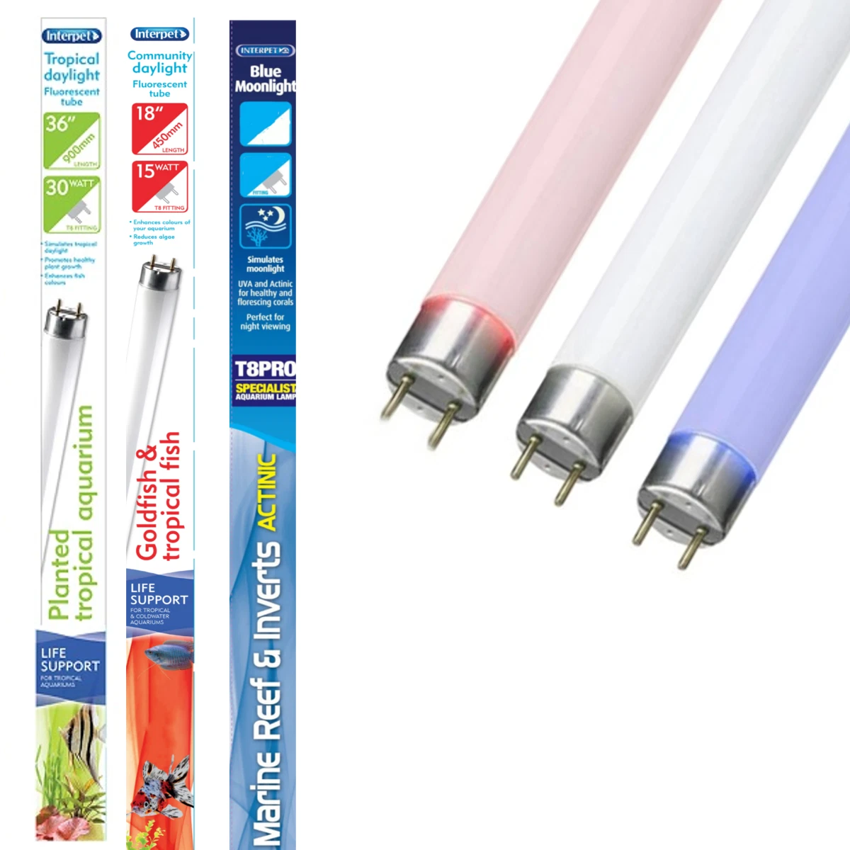 T8 Fluorescent Light Fixtures Aquarium Shelly Lighting