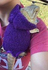 SOFT FUR SNUG DESIGN 4 XLRG SLEEVELESS BODY SHIRT HOODY 4 UNISEX BEARDED DRAGON