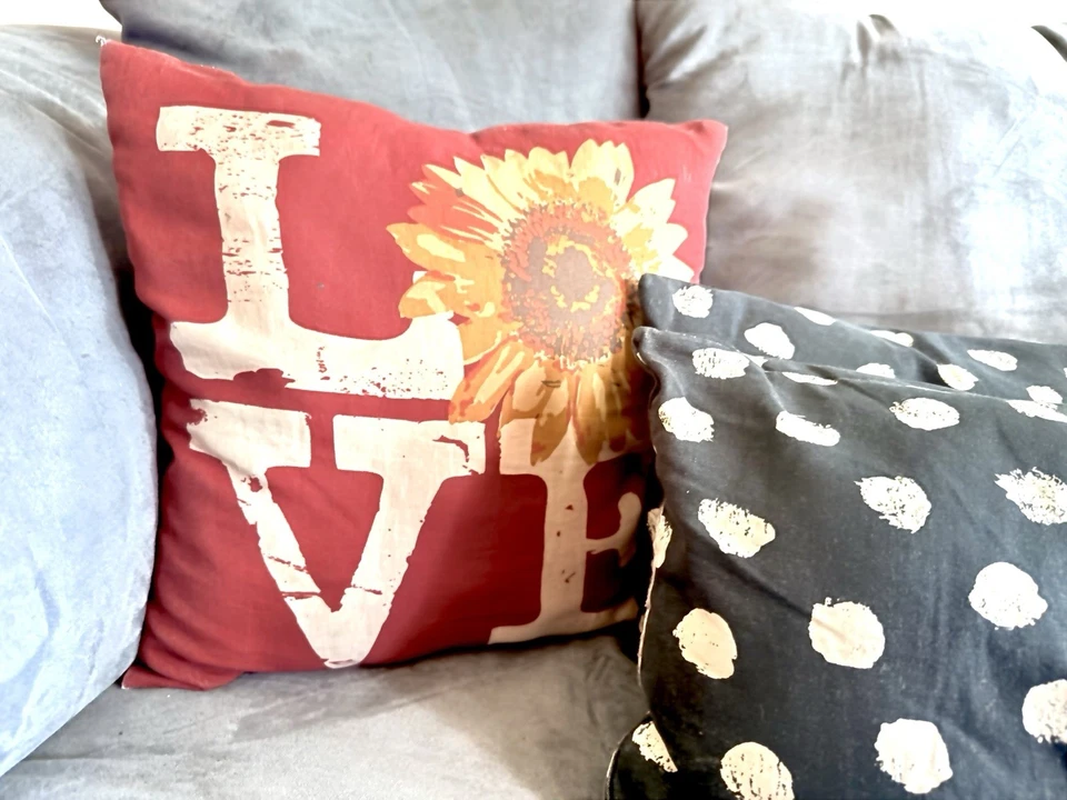 MATTE GREY PILLOW-IMBEDDED COUCH! 🛋️ OBO - Image 2 of 4