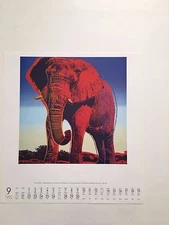 ANDY WARHOL,AFRICAN ELEPHANT 1983,AUTHENTIC PRINT FROM 1992 TE NEUES CALENDAR