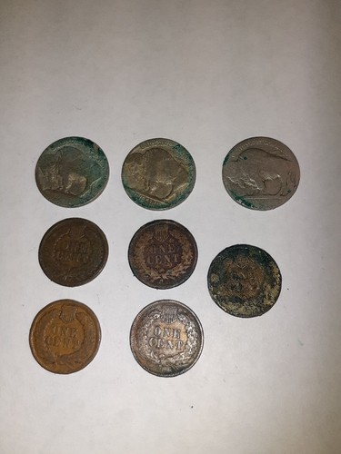 3 Buffalo Nickels & 5 1893-1905 Indian Head Pennies, Circulated - Picture 2 of 2