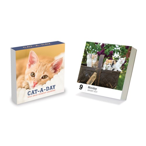 2023 Cat A Day Daily Desktop Calendar EBay