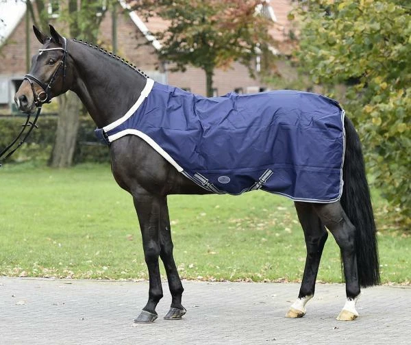 BUSSE Führanlagendecke Führmaschine WALKING Decke Führanlage