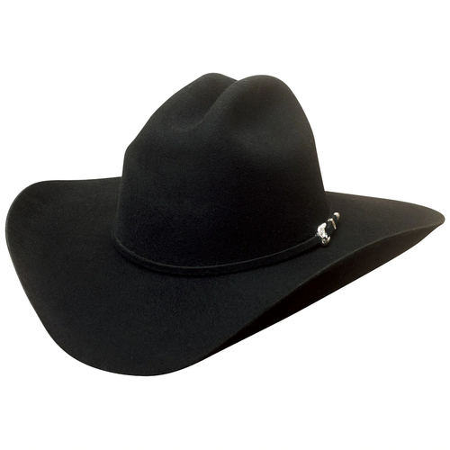 Bullhide Ruidoso 6X Wool Cowboy Hat | eBay