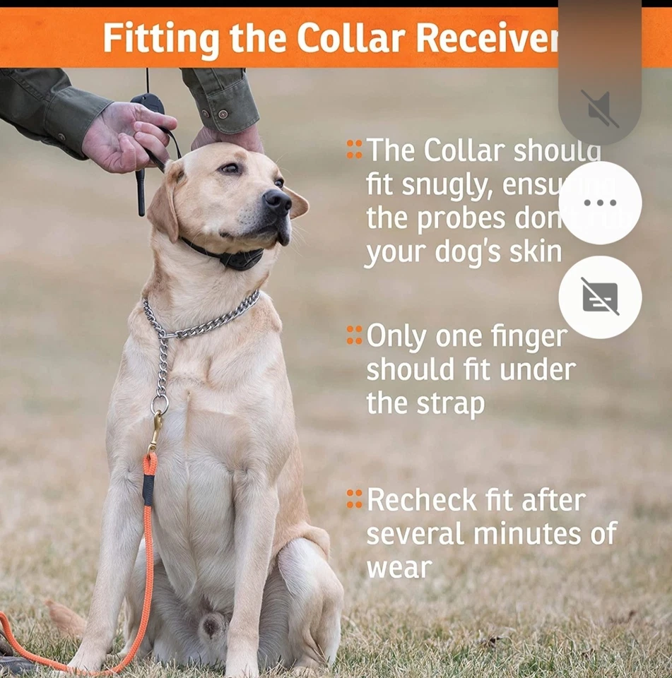SportDOG SDF-CTR Contain-N-Train Add-A-Dog Collar Rechargeable Receiver Fence - Image 2 of 4