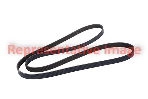 Bando 6PK795