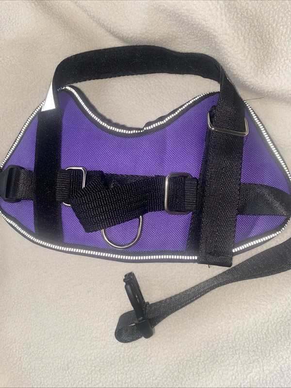 dog harness “ In Training”sz small