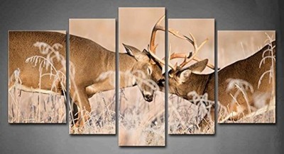 5 Panel Wall Art White Tailed Deer Bucks Sparring Painting Pictures Print On ...
