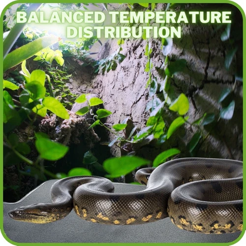 Reptile Vivarium PVC Heat Mats Heating with Temperature Adjustment - 4 Sizes - Picture 8 of 9
