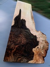 XXL Wicked FIGURED AMBROSIA MAPLE BURL Wood Slab Craft/Turning wood EPOXY WOOD