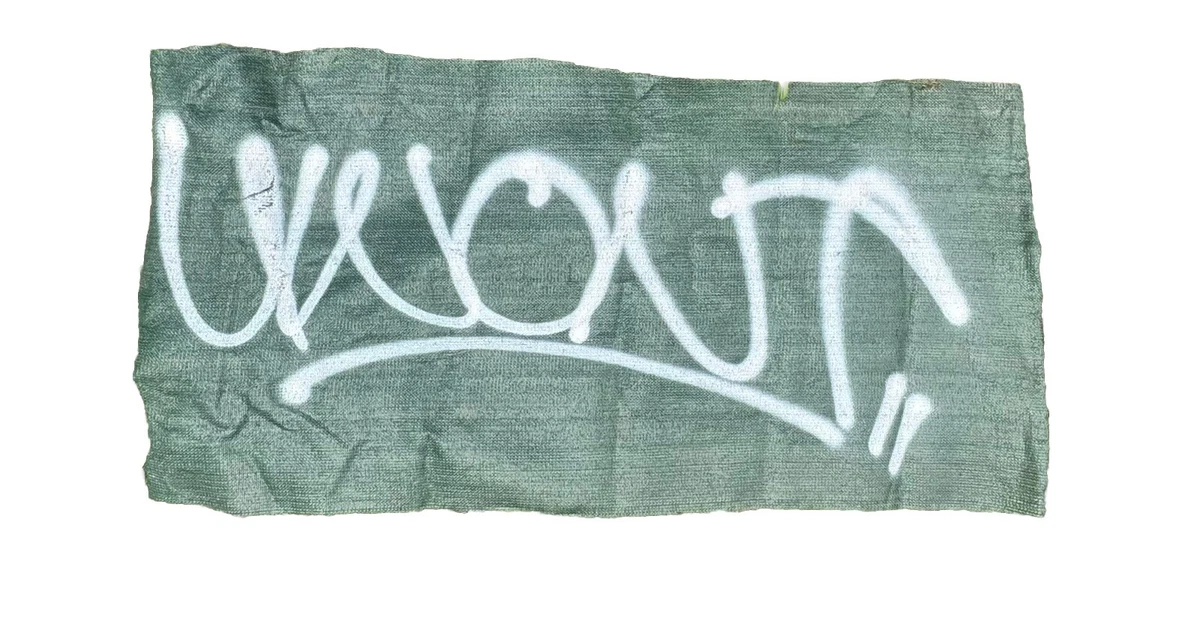 Las mejores ofertas en Pinturas de arte Barry McGee | eBay