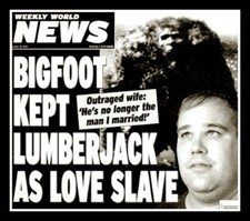 4.25" Funny tabloid vinyl sticker. Bigfoot Kept Lumberjack Love Slave decal.